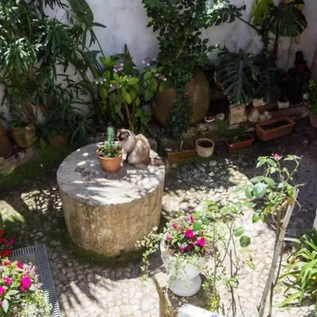 Tatil Evi Charming House With 3 Bedrooms Óbidos