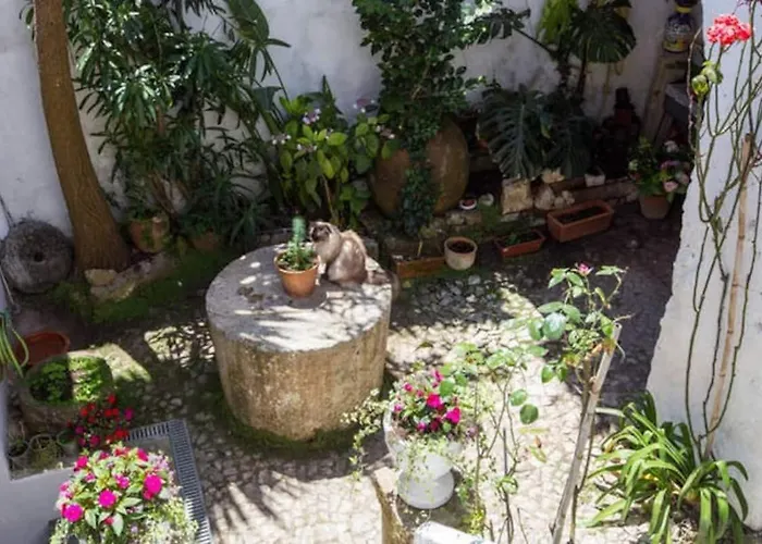 Holiday home Charming House With 3 Bedrooms Obidos